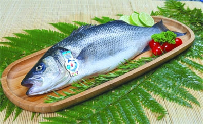 Premium Sea Bass 1kg